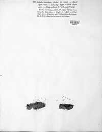 Image Associated With the Occurence